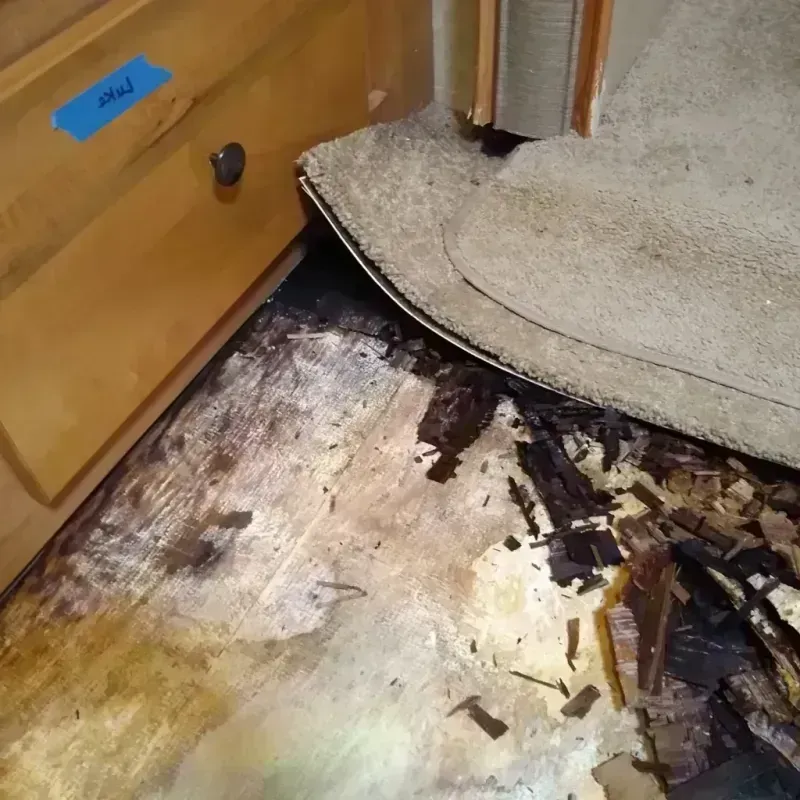 Wood Floor Water Damage in Rocky River, OH